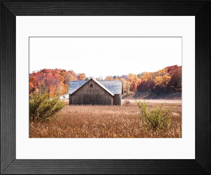 Framed Print : Old wood barn in a field with autumn trees in the background Framed Print : Old wood barn in a field with autumn trees in the background