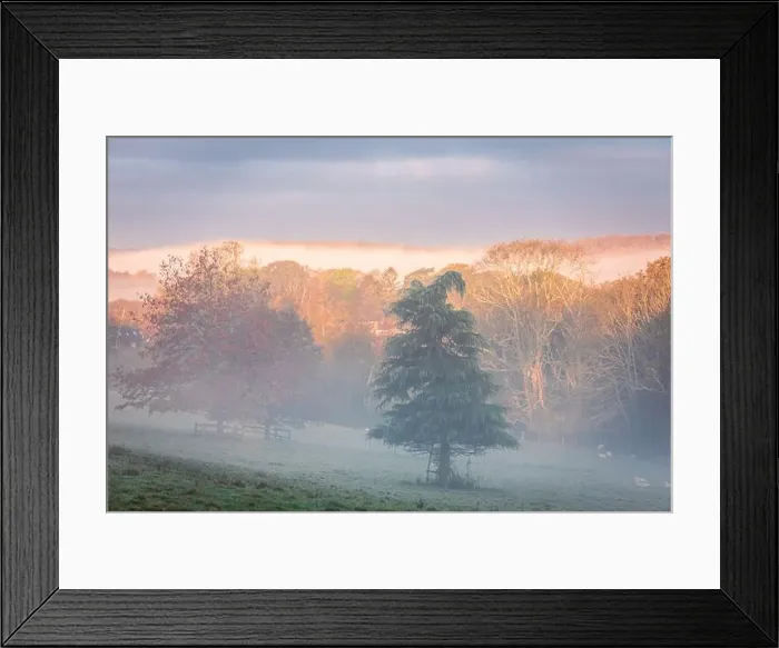 Framed Print : Autumn woodland around Darwell Reservoir on the high weald East Sussex south east England UK Framed Print : Autumn woodland around Darwell Reservoir on the high weald East Sussex south east England UK