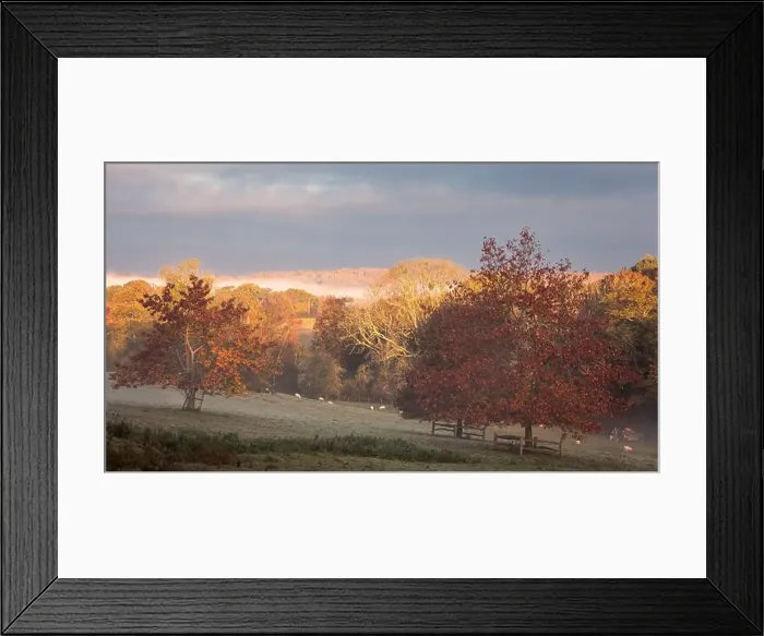 Framed Print : Autumn woodland around Darwell Reservoir on the high weald East Sussex south east England UK Framed Print : Autumn woodland around Darwell Reservoir on the high weald East Sussex south east England UK