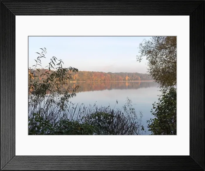 Framed Print : Serene morning view of Straussee Framed Print : Serene morning view of Straussee