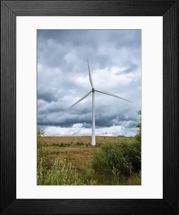 Framed Print : 2ye3cy9 Framed Print : 2ye3cy9