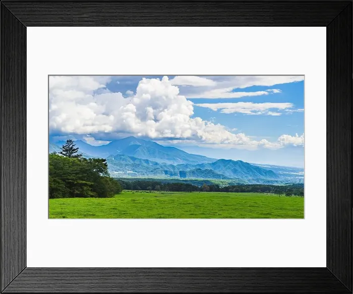 Framed Print : 2ye45ew Framed Print : 2ye45ew