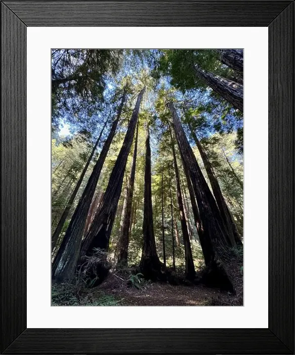 Framed Print : 2ye4gdp Framed Print : 2ye4gdp