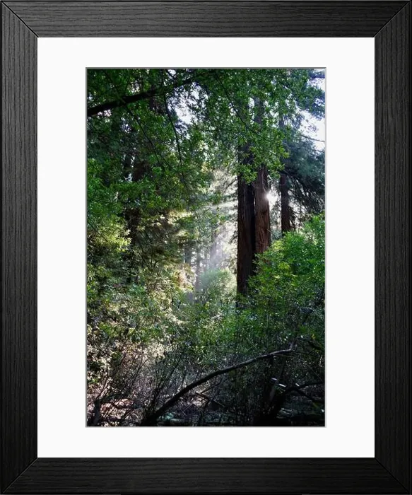 Framed Print : 2ye4geg Framed Print : 2ye4geg