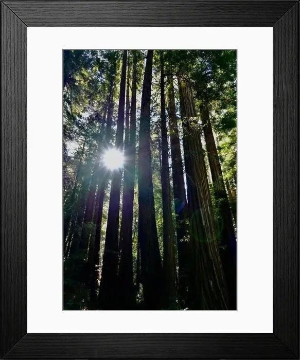 Framed Print : 2ye4gep Framed Print : 2ye4gep