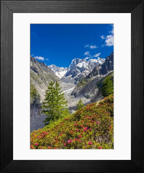 Framed Print : 2ye50dk
