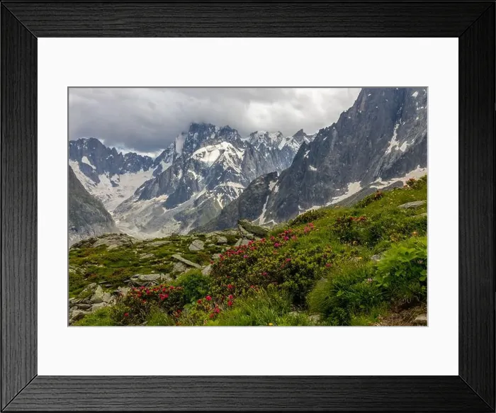 Framed Print : 2ye50rt