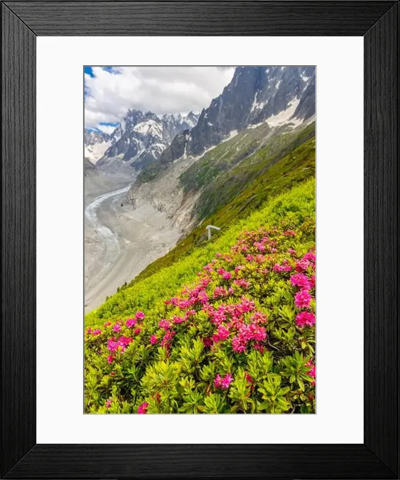 Framed Print : 2ye50td Framed Print : 2ye50td