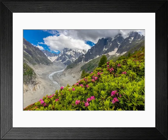 Framed Print : 2ye50tj Framed Print : 2ye50tj
