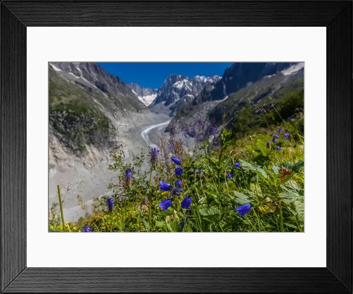 Framed Print : 2ye517m Framed Print : 2ye517m