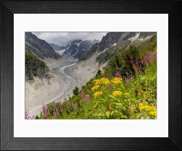 Framed Print : 2ye517t