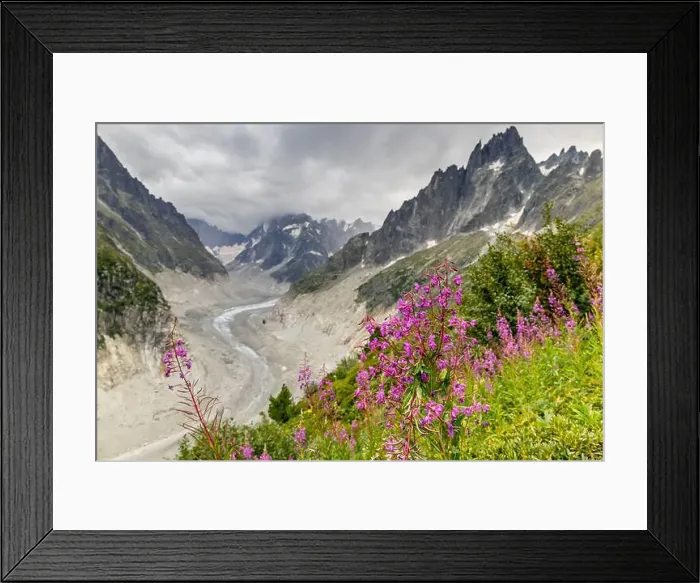 Framed Print : 2ye5180 Framed Print : 2ye5180