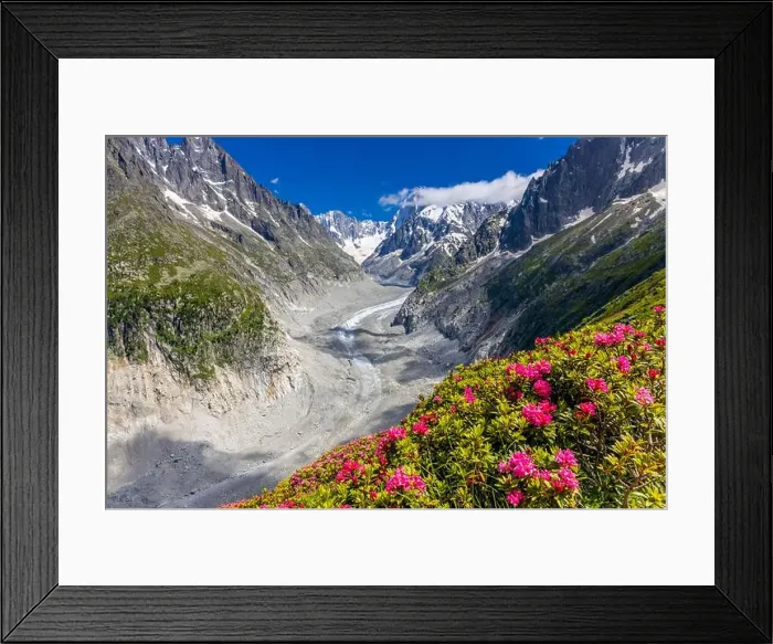 Framed Print : 2ye5198 Framed Print : 2ye5198