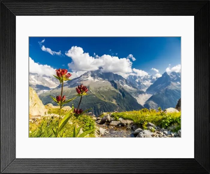 Framed Print : 2ye5h47