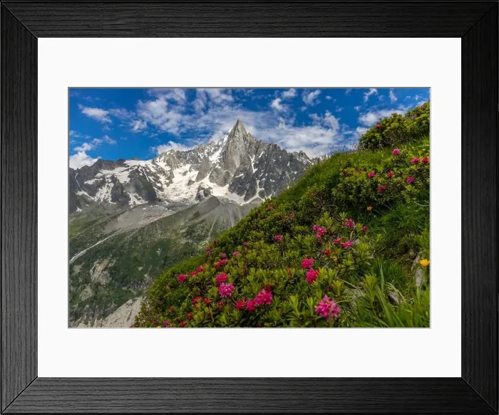 Framed Print : 2ye5knm Framed Print : 2ye5knm