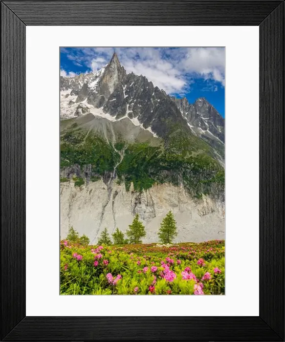 Framed Print : 2ye5mdc Framed Print : 2ye5mdc
