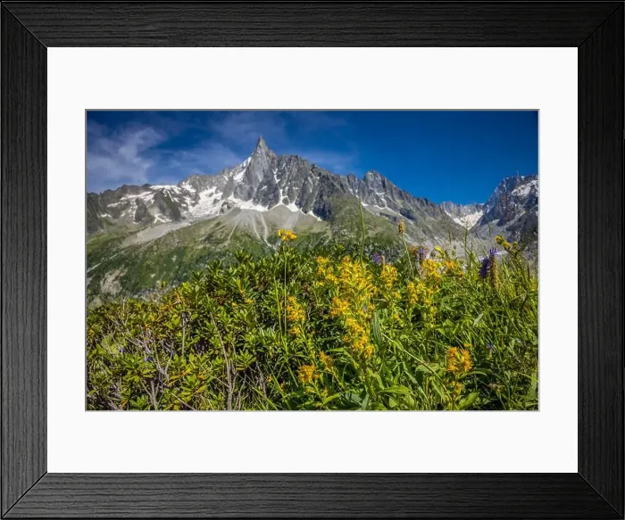 Framed Print : 2ye5r99 Framed Print : 2ye5r99