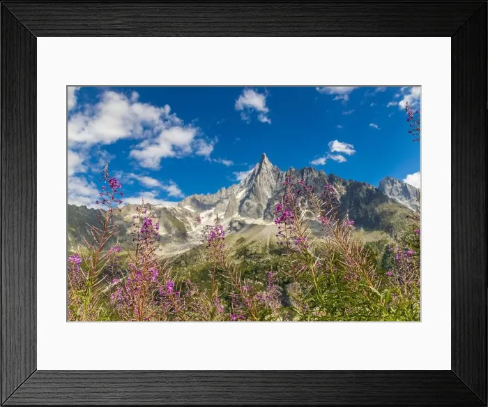Framed Print : 2ye5tdb Framed Print : 2ye5tdb