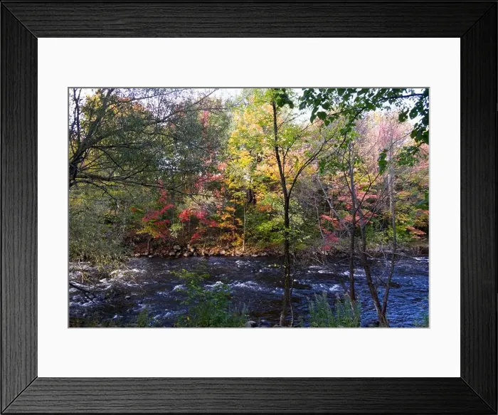 Framed Print : 2ye7a85 Framed Print : 2ye7a85