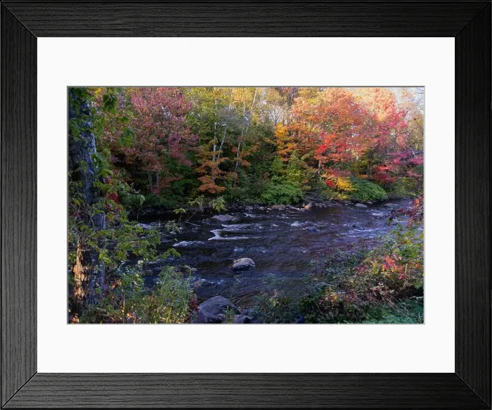 Framed Print : 2ye7a92 Framed Print : 2ye7a92