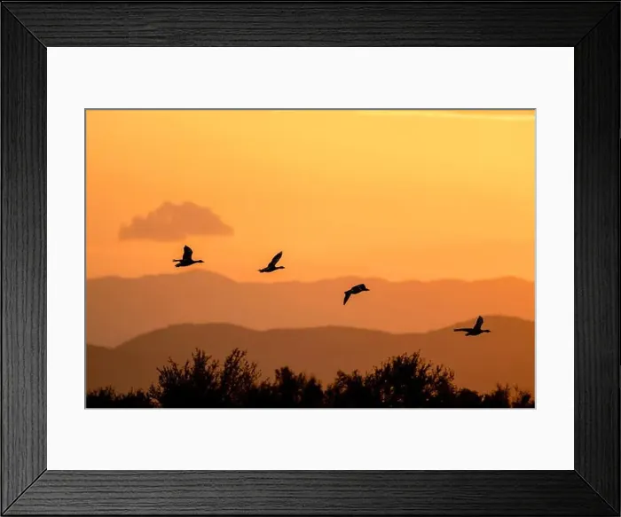 Framed Print : 2ye7py6 Framed Print : 2ye7py6