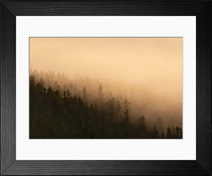 Framed Print : 2ye7yh7 Framed Print : 2ye7yh7