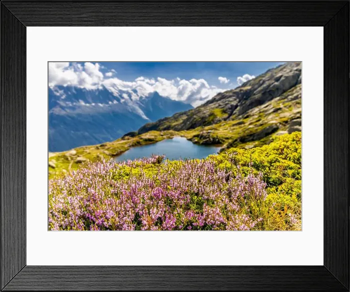 Framed Print : 2ye8g2y Framed Print : 2ye8g2y