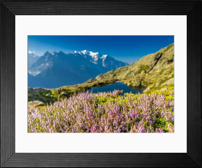 Framed Print : 2ye8g69 Framed Print : 2ye8g69