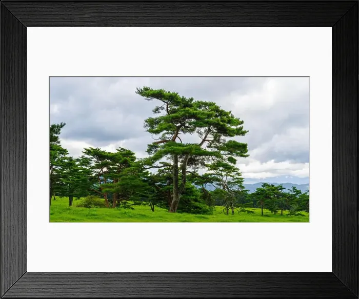 Framed Print : 2ye8gr4 Framed Print : 2ye8gr4