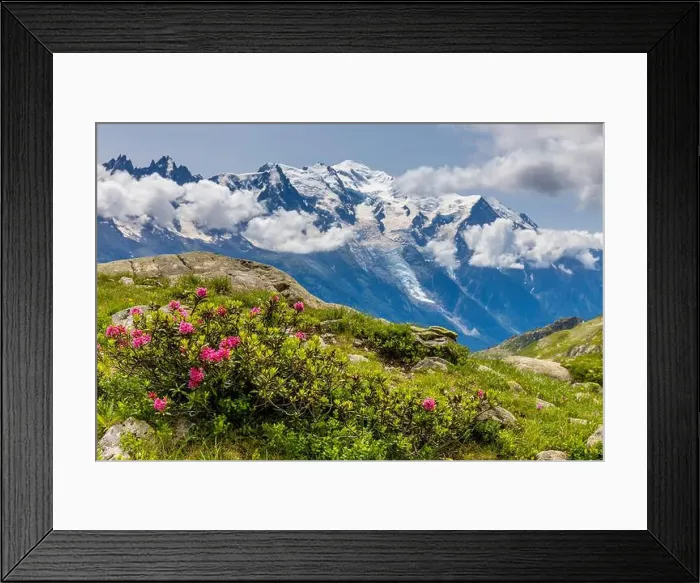 Framed Print : 2ye9t1p Framed Print : 2ye9t1p