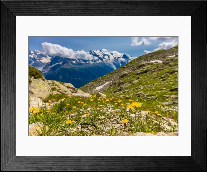 Framed Print : 2ye9tky Framed Print : 2ye9tky