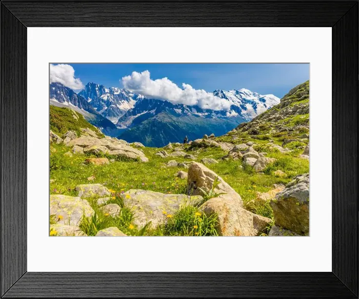 Framed Print : 2ye9txe Framed Print : 2ye9txe