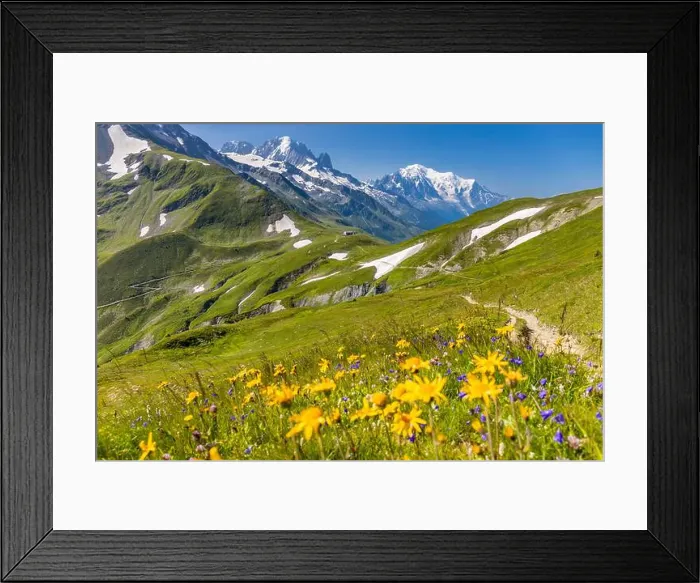 Framed Print : 2ye9wx2 Framed Print : 2ye9wx2