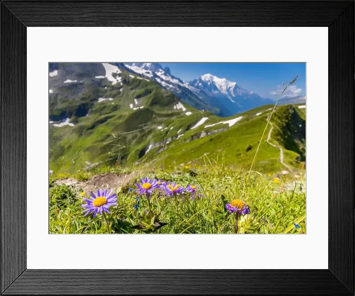 Framed Print : 2ye9xey Framed Print : 2ye9xey