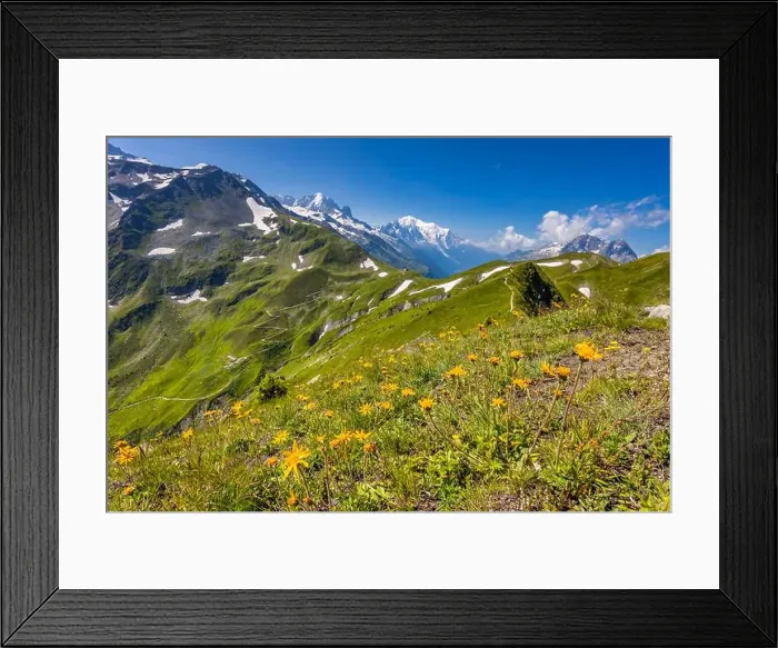 Framed Print : 2ye9xm6 Framed Print : 2ye9xm6