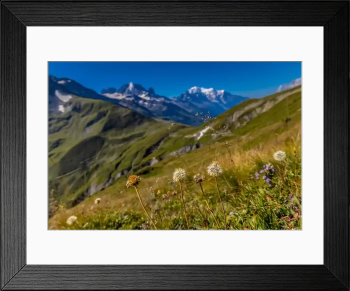 Framed Print : 2yea5k1 Framed Print : 2yea5k1