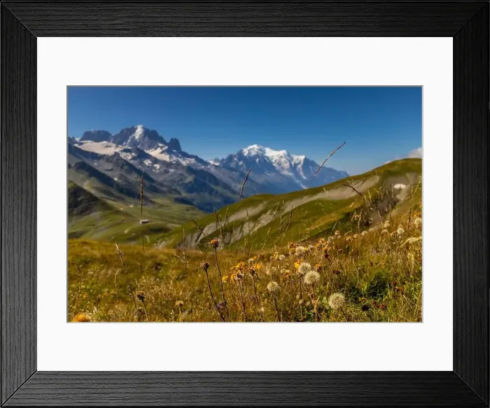Framed Print : 2yea91k Framed Print : 2yea91k