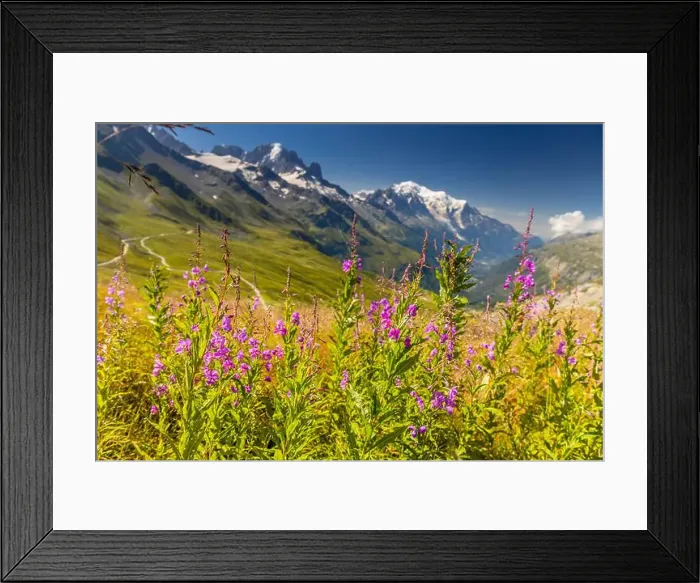 Framed Print : 2yead0g Framed Print : 2yead0g