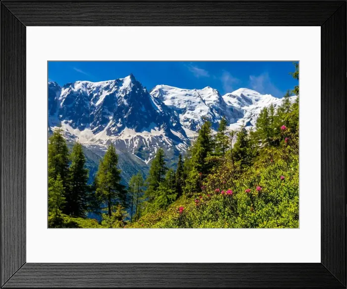 Framed Print : 2yeb264 Framed Print : 2yeb264