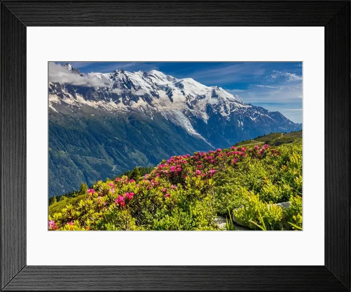 Framed Print : 2yeb2jy Framed Print : 2yeb2jy