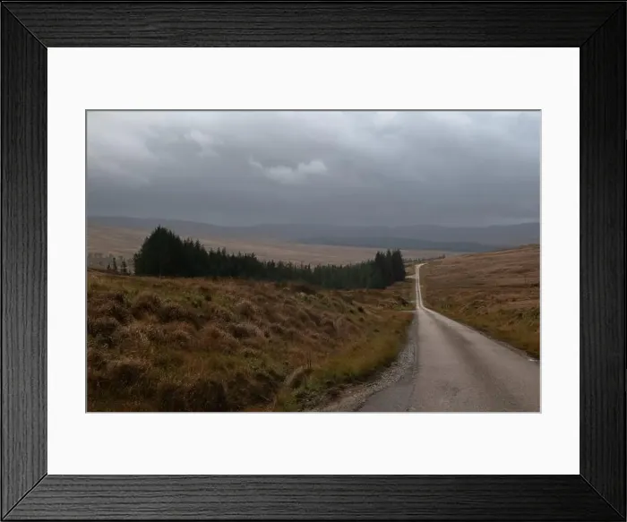 Framed Print : 2yebx99 Framed Print : 2yebx99