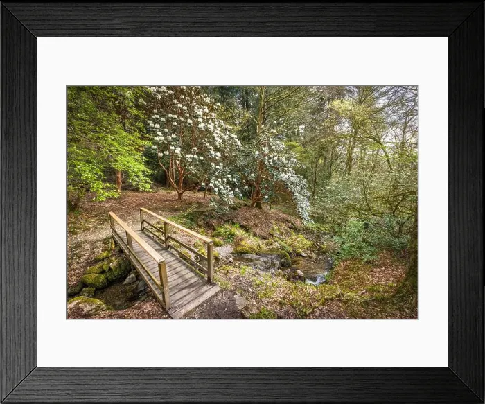 Framed Print : 2yec4m3 Framed Print : 2yec4m3