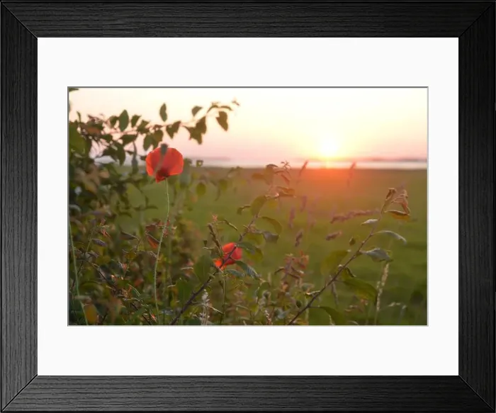 Framed Print : 2yen7w7 Framed Print : 2yen7w7