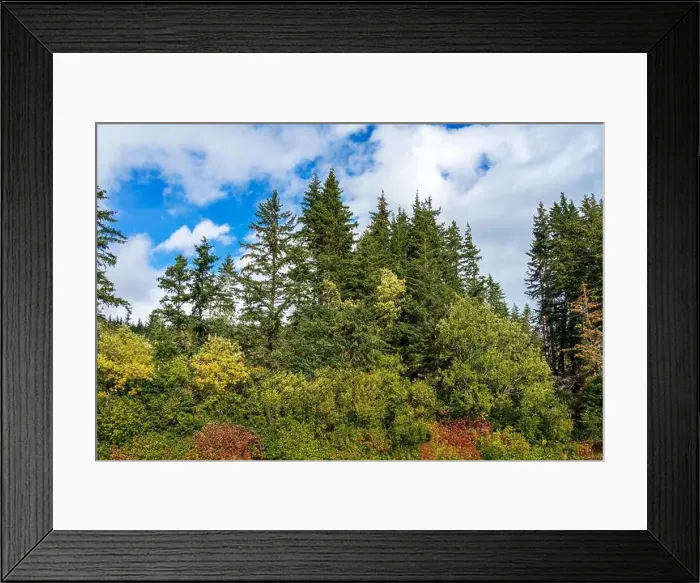 Framed Print : 2yenk22 Framed Print : 2yenk22