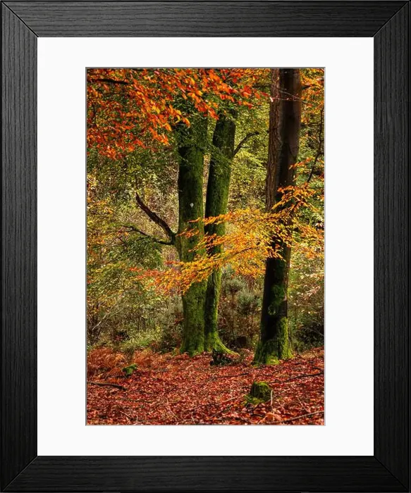 Framed Print : 2yepp13 Framed Print : 2yepp13