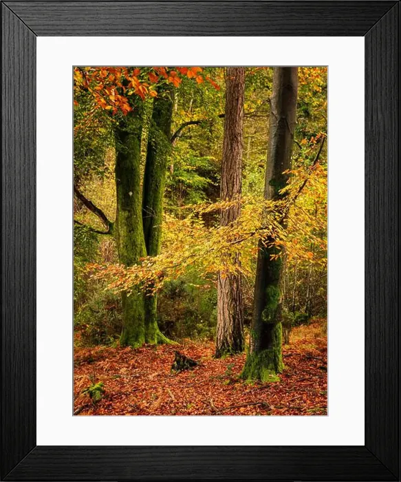 Framed Print : 2yepp32 Framed Print : 2yepp32