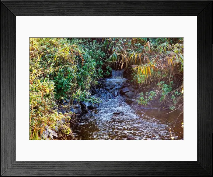 Framed Print : 2yew9p0 Framed Print : 2yew9p0