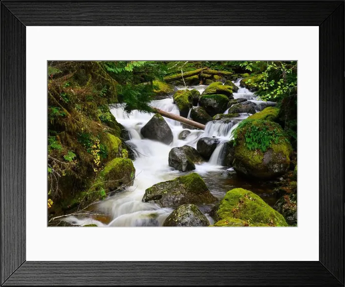 Framed Print : 2yewe3a Framed Print : 2yewe3a