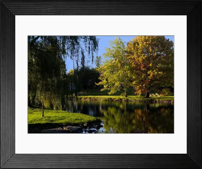 Framed Print : 2yex9bg Framed Print : 2yex9bg