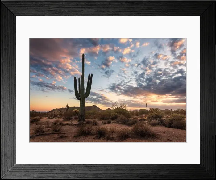 Framed Print : 2yexc10 Framed Print : 2yexc10